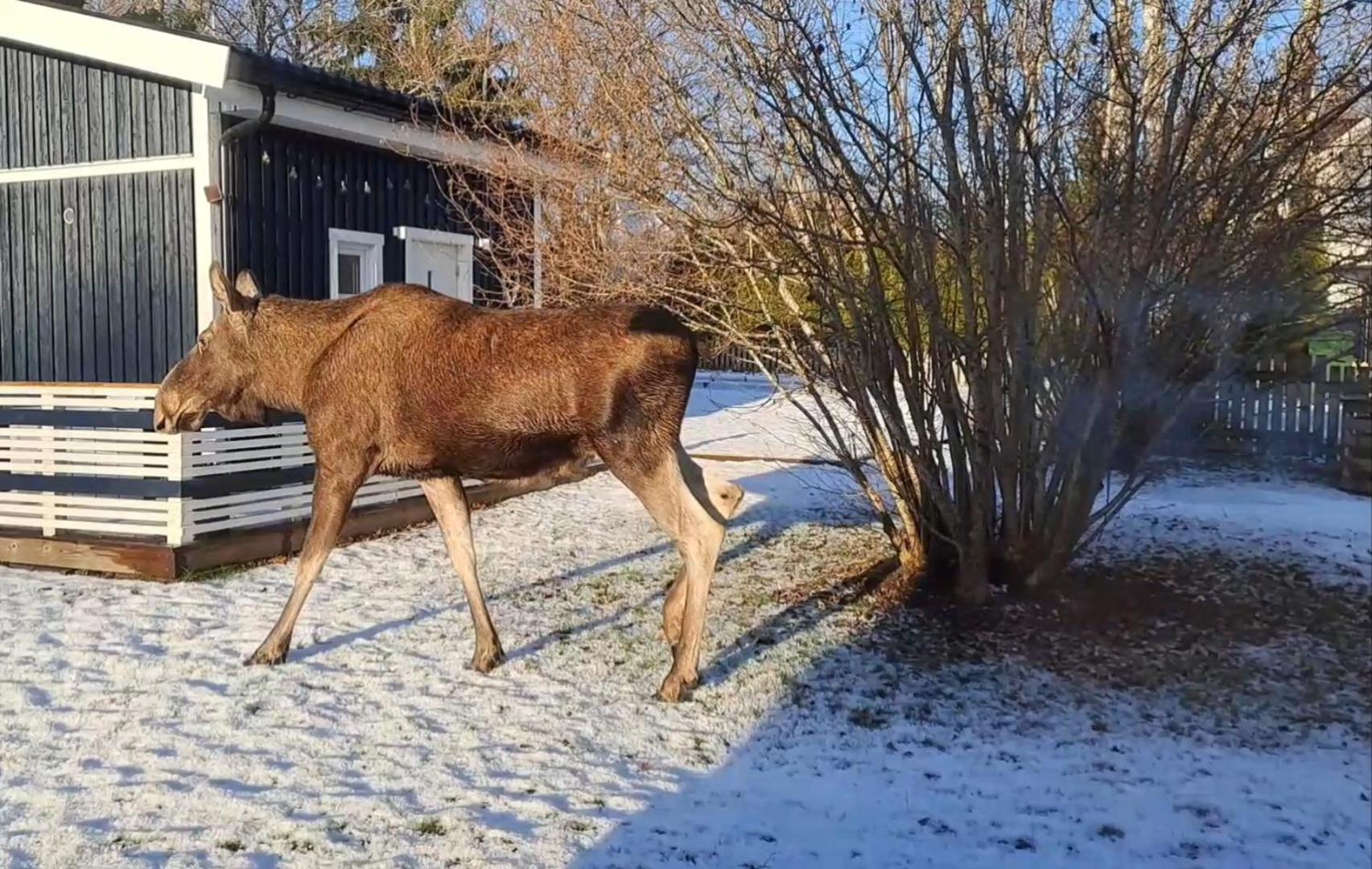 Willa Lillhuset Naera Stockholm Tungelsta Zewnętrze zdjęcie